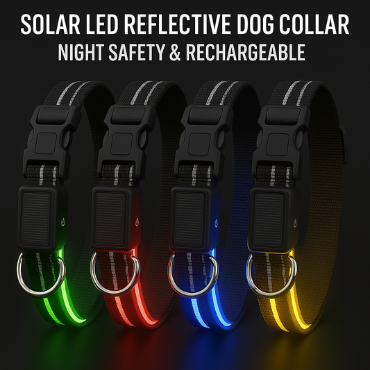 Four solar LED reflective dog collars in green, red, blue, and yellow on a black background.