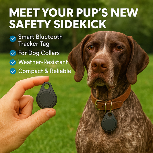 Smart Bluetooth Tracker Tag for Dog Collars, Weather-Resistant, Compact & Reliable Pet Locator | DA'VINE LINE